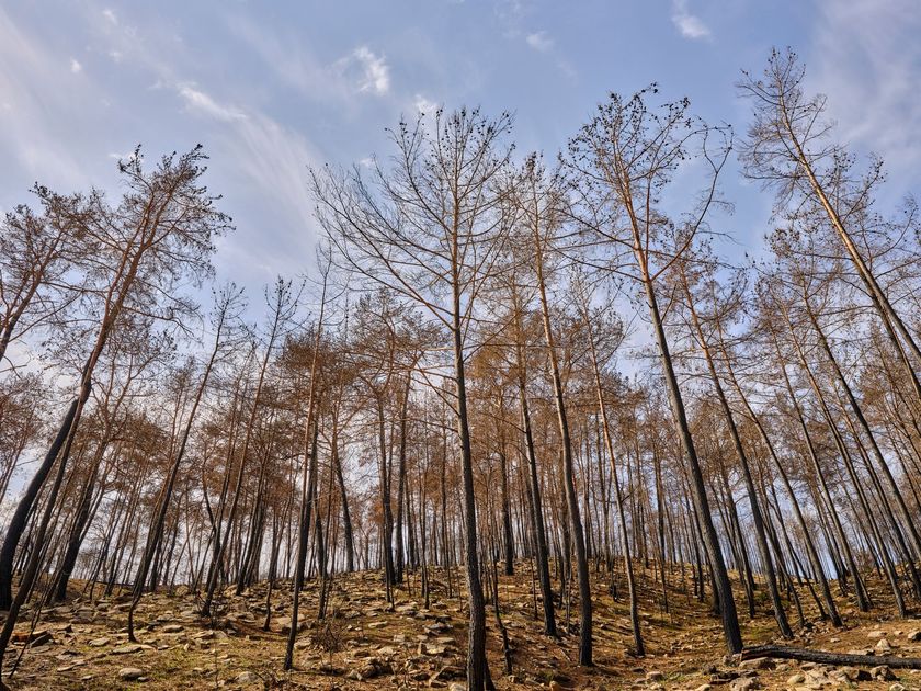 Cusco: Ministro Vinelli visita la región para articular respuesta ante incendios forestales