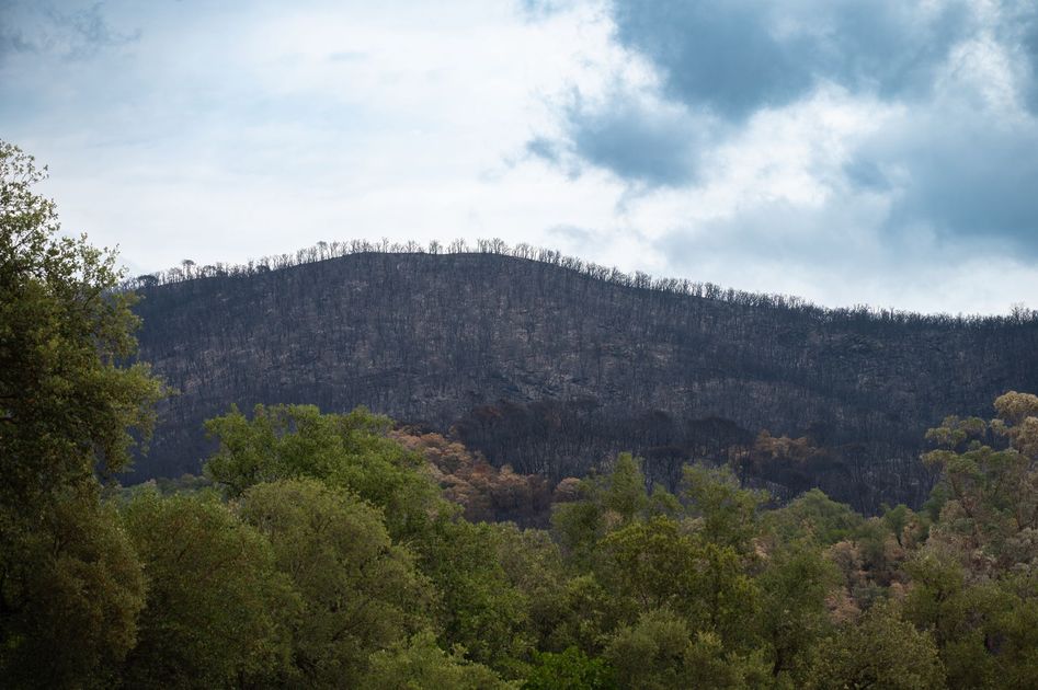 Cusco: Incendios forestales dejan seis muertos y arrasan miles de hectáreas