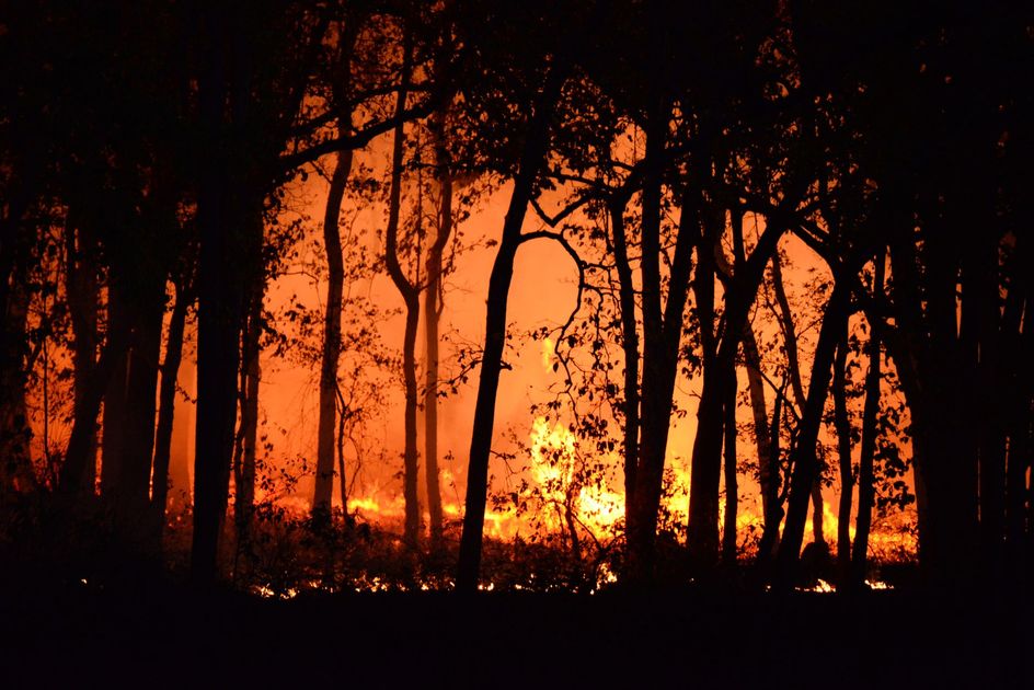 Incendios en Cusco: cruce entre Gobiernos por responsabilidad y cifras