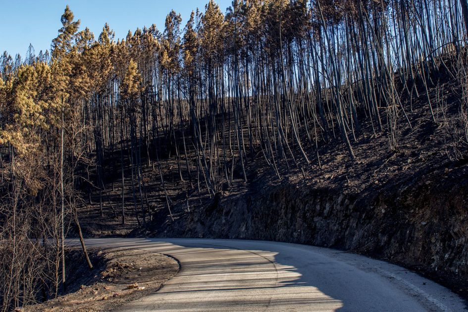 FAP no logra controlar incendios forestales en Cusco; se requiere más ayuda