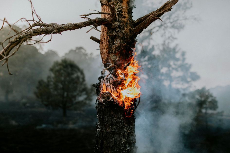 Cusco arde y se seca: 116 distritos bajo emergencia por sequía y siete muertos por incendios