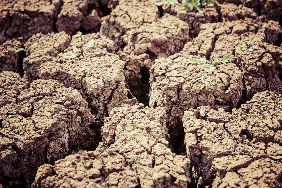 Huañuco enfrenta doble emergencia climática con sequía en la Sierra y lluvias intensas en la Selva