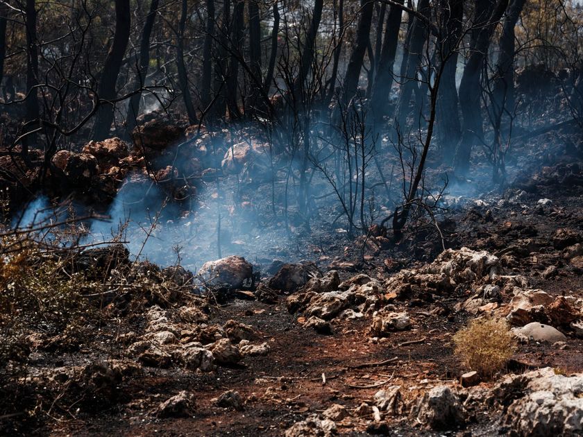Incendios forestales: 16 regiones del Perú bajo llamas y siete fallecidos