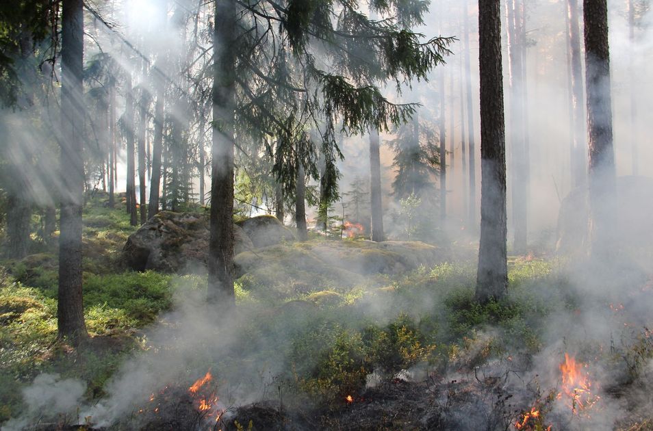 Indeci: Cusco carece de sistema de alerta temprana para incendios forestales