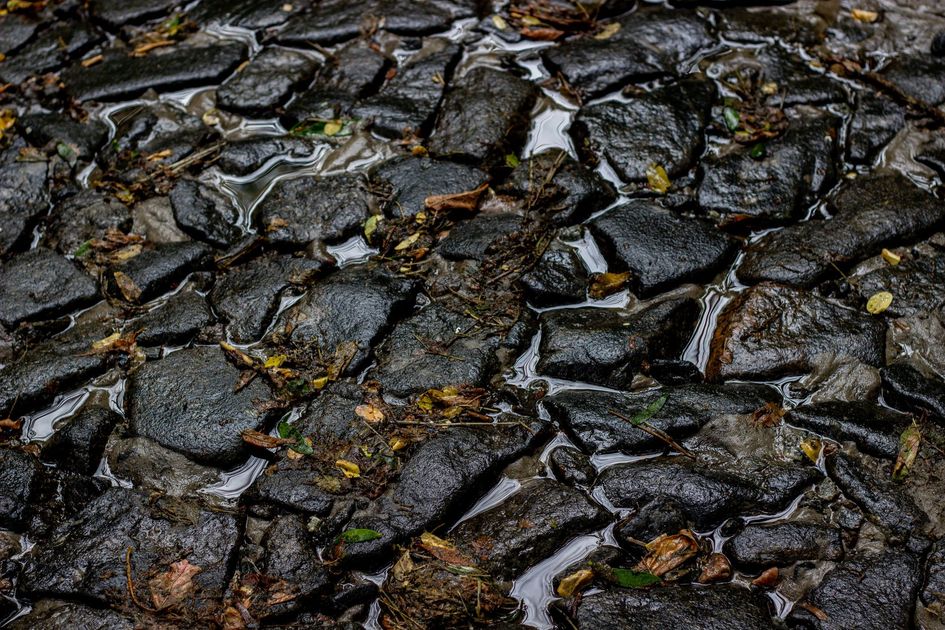 Protección inmediata del Qhapaq Ñan: DDC Cusco blindará dos tramos clave por dos años